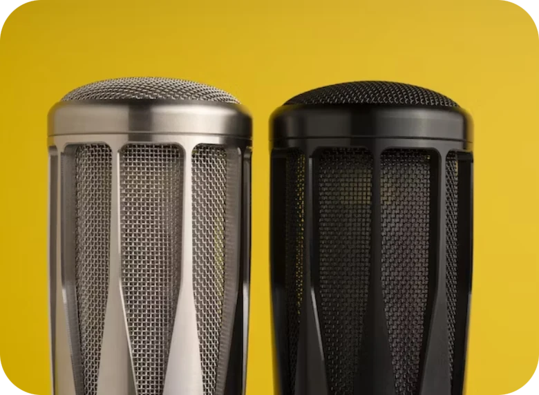 two microphones 