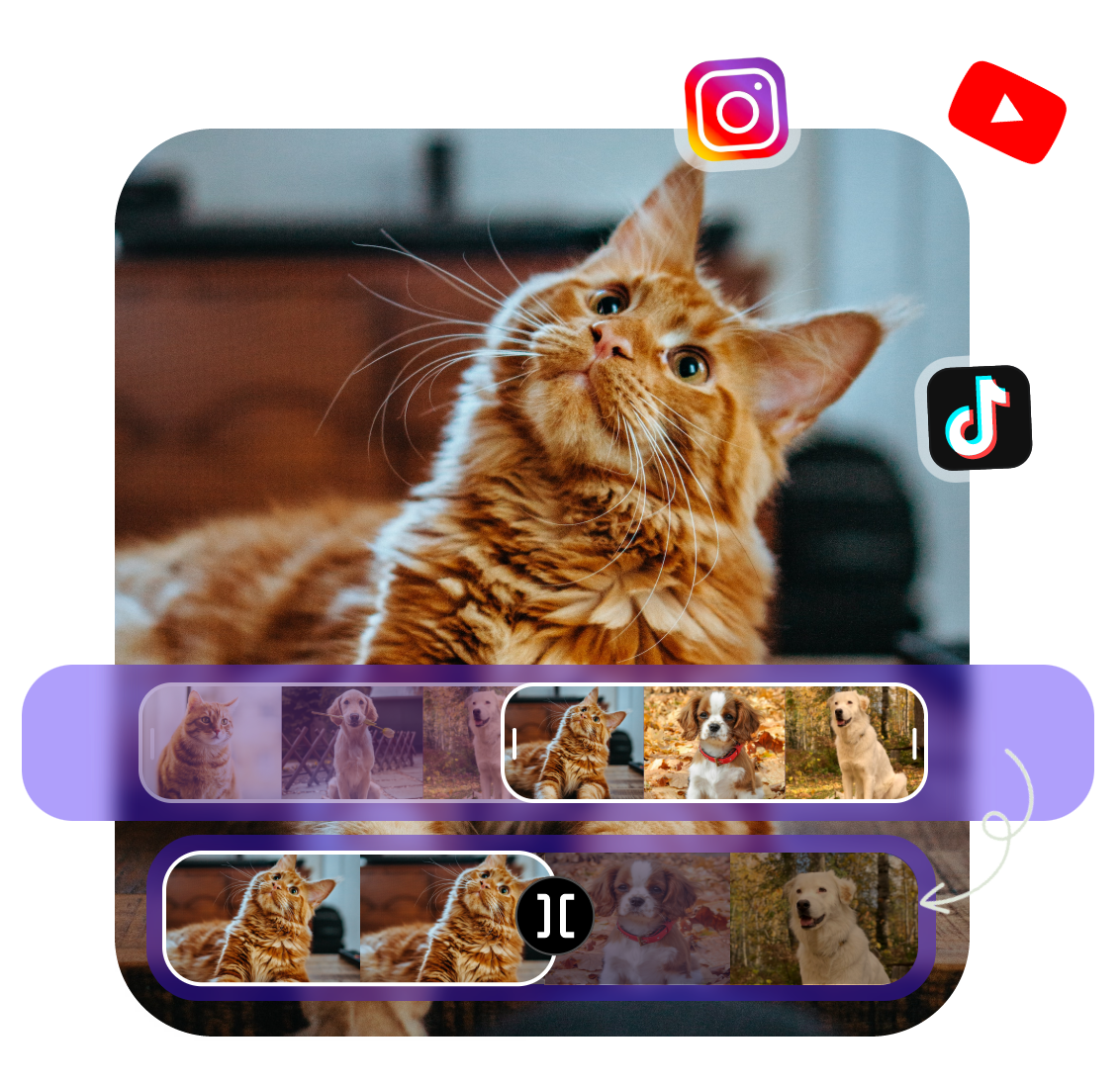 cut and trim videos for any social media