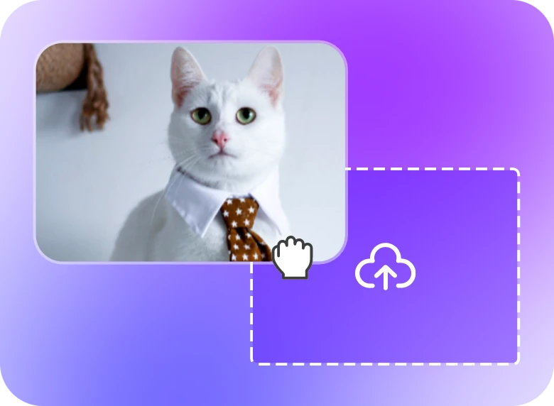 upload a cat video to clipfly video splitter