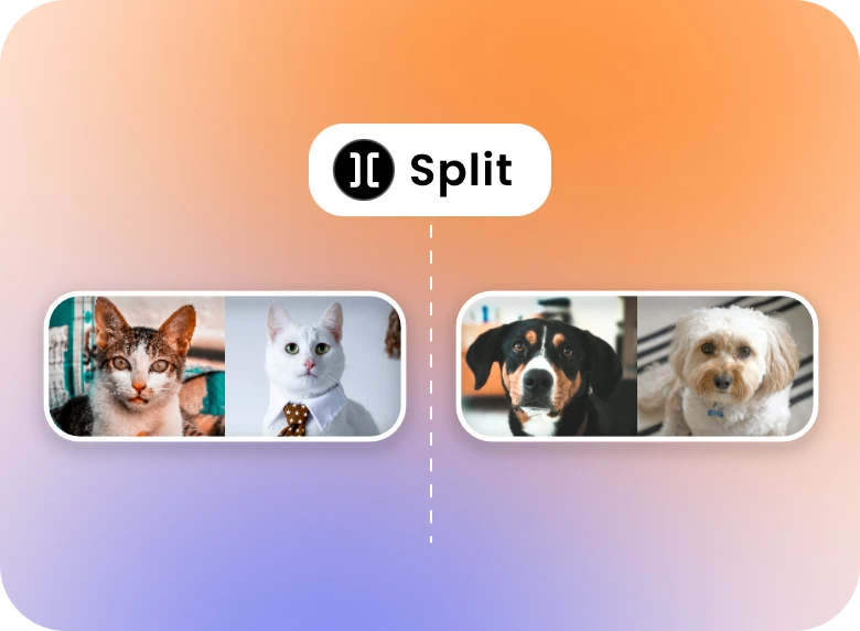 split a pet video with video splitter