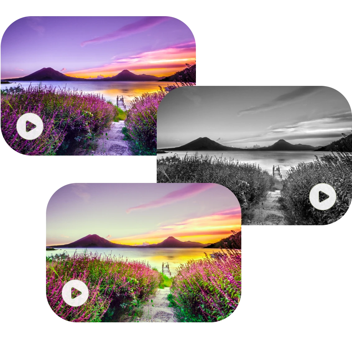 optimize a video of grassland with different filters