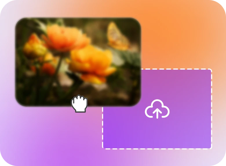 upload a flower video to unblur using clipfly ai video unblur tool