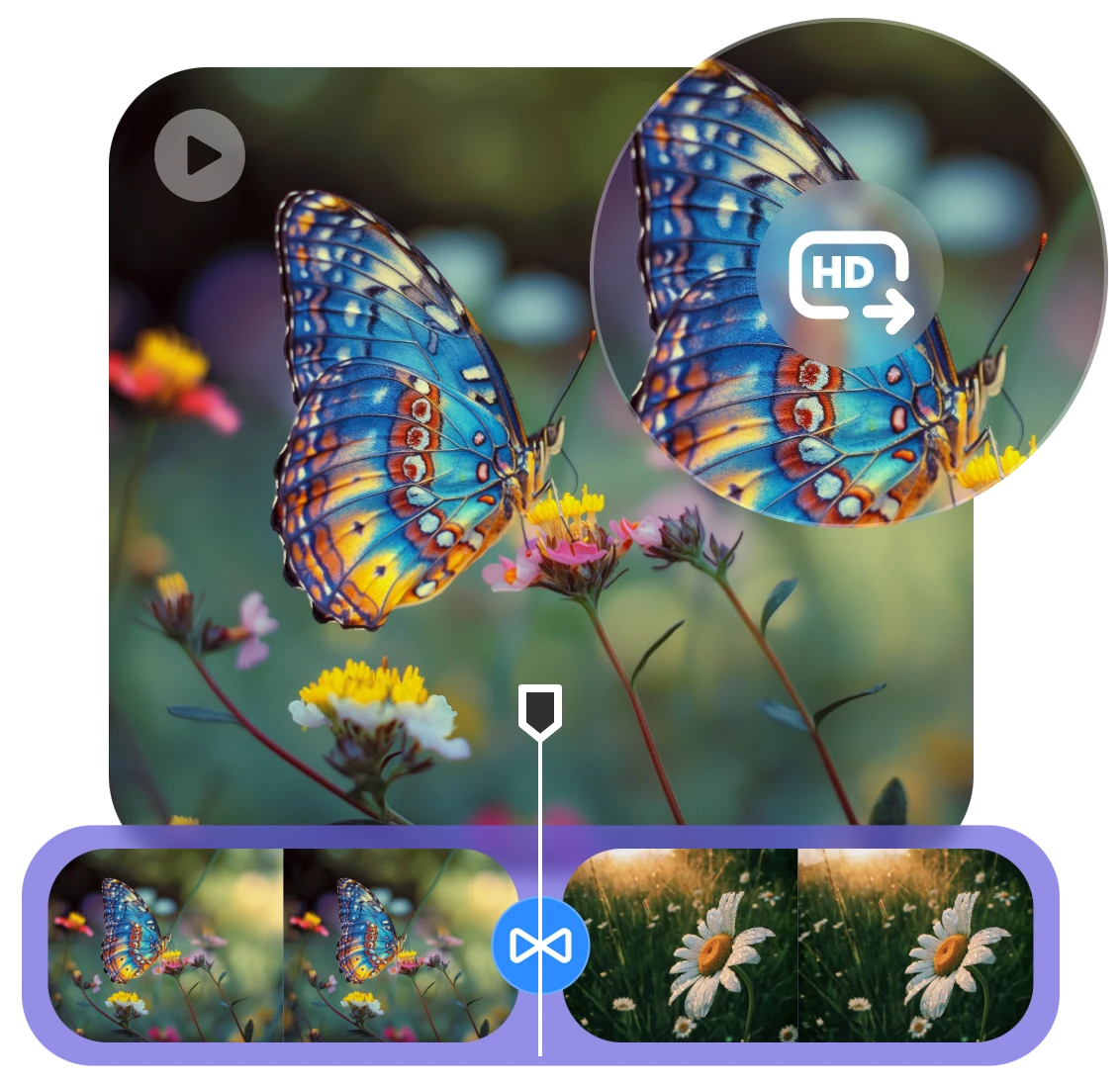 create a high quality social media video of colorful butterfly on flowers