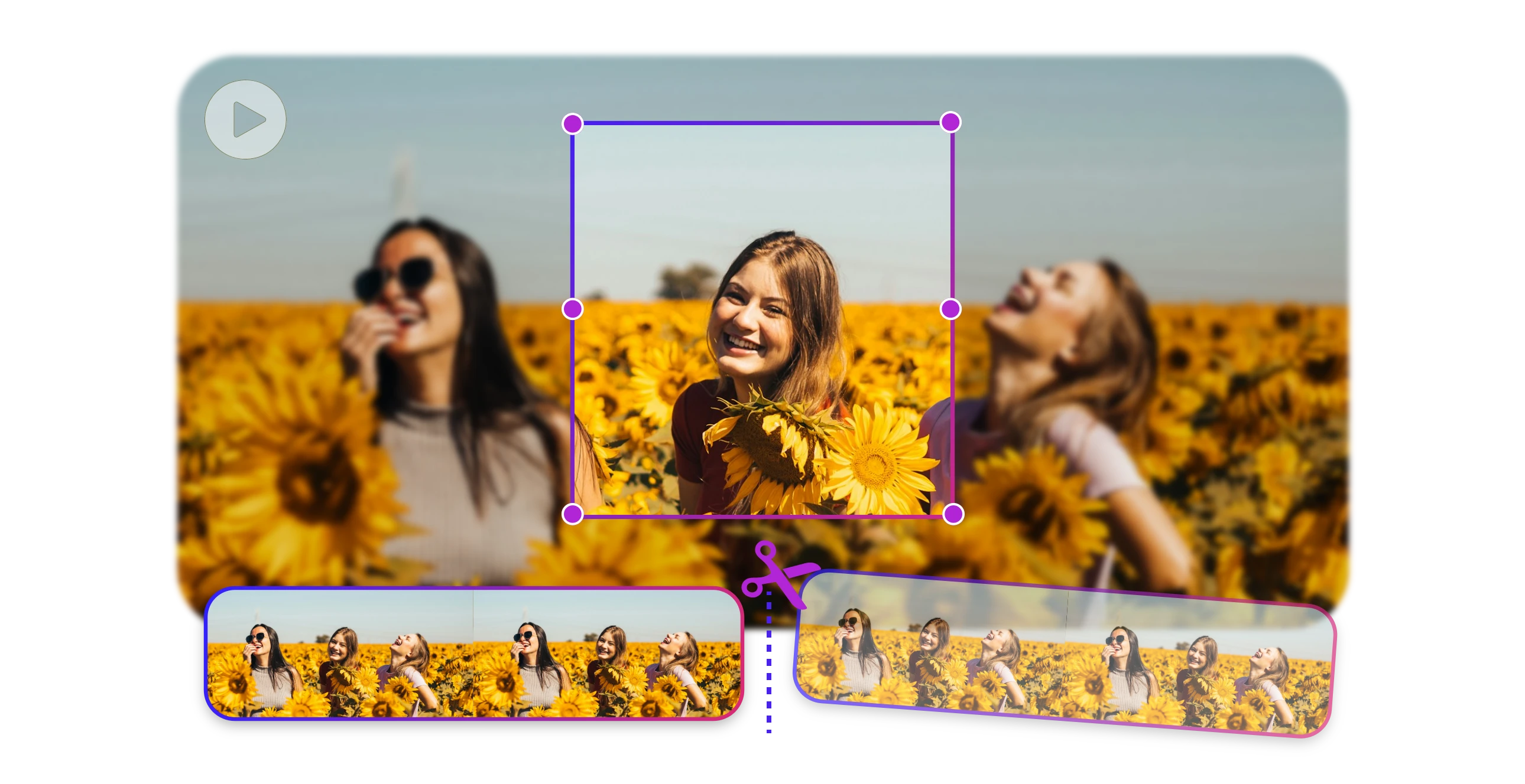 video cutter effect banner featuring a woman in sunflower field