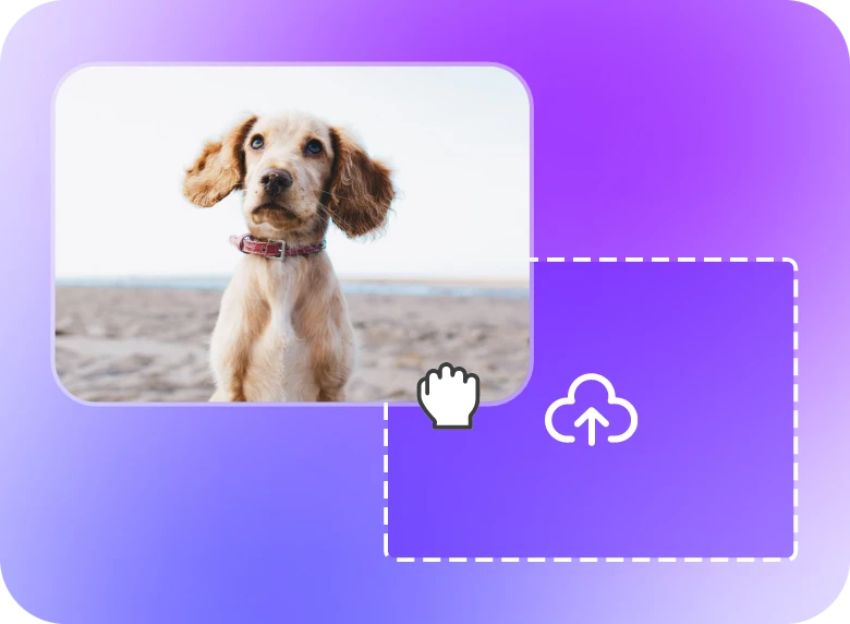 upload a video featuring a dog on a beach background