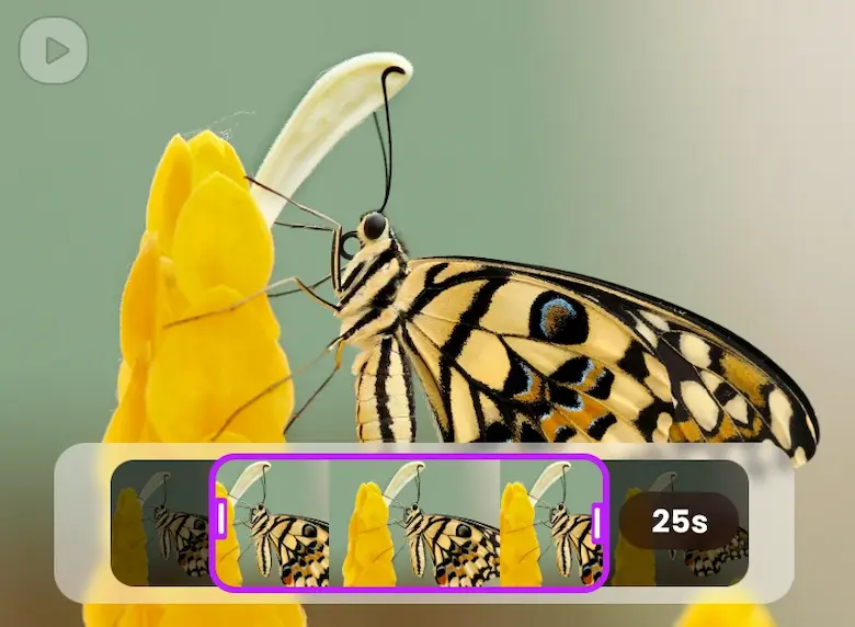 clipfly video trimmer cover featuring a butterfly on a yellow flower