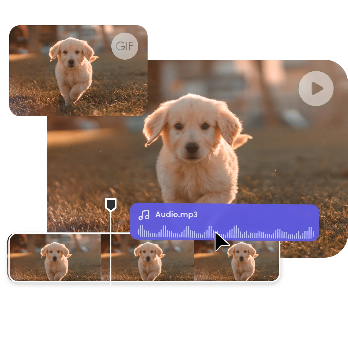 add audio to converted mp4 of a little dog in clipfly