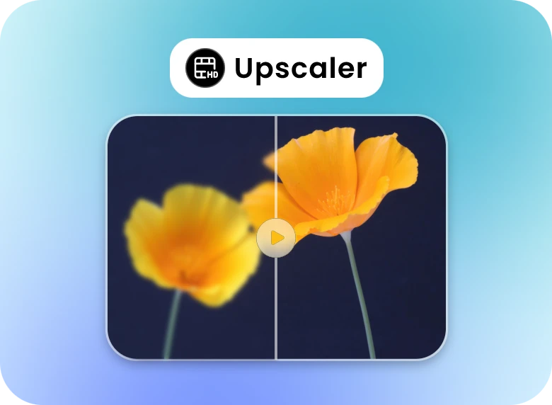 use clipfly ai video upscaler to improve the flower's video from low resolution to high resolution