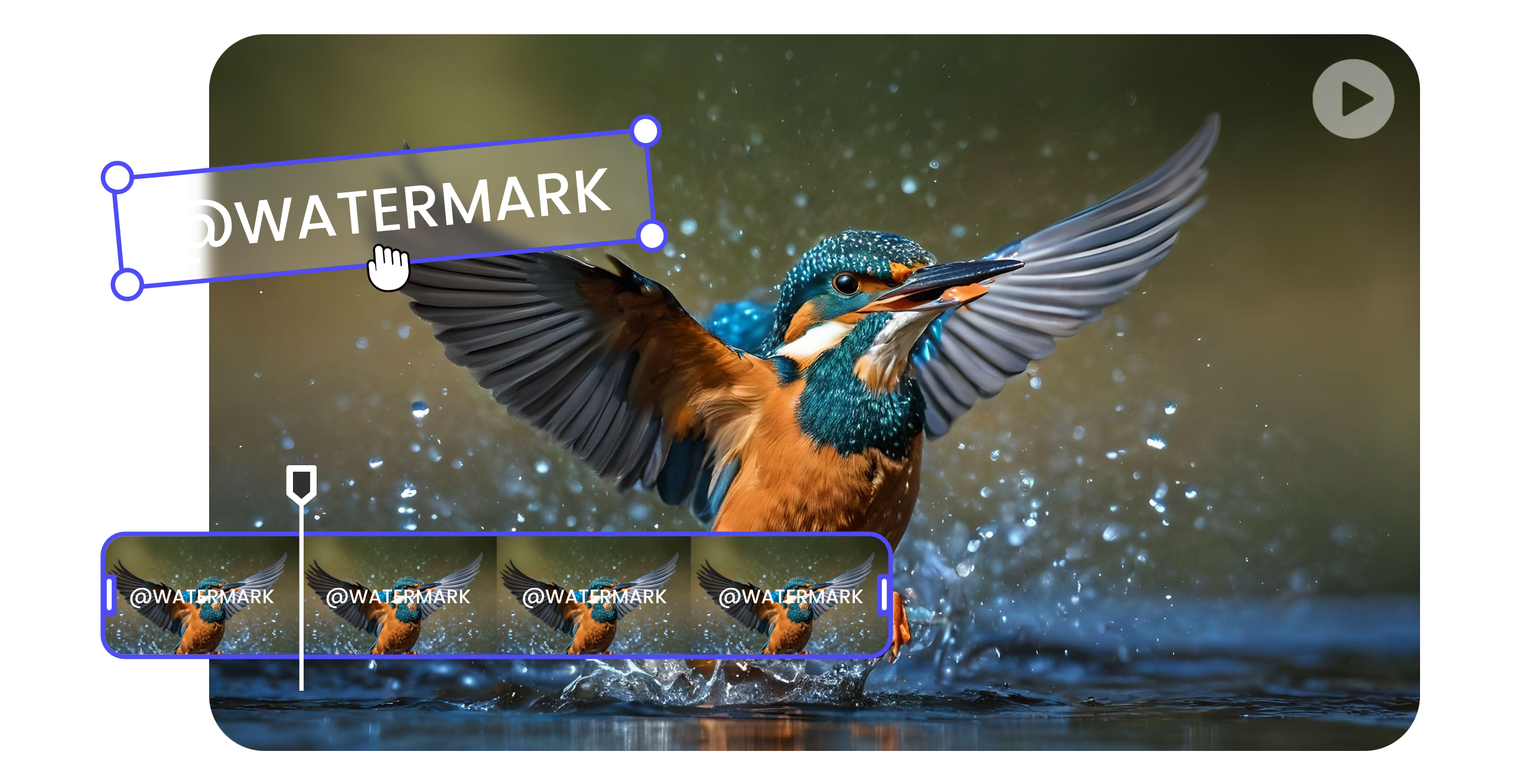 add watermark to video about a flying bird on the water