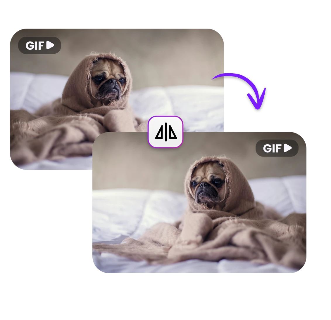 Flip a GIF of a dog sitting on a bed wrapped in a blanket from left to right