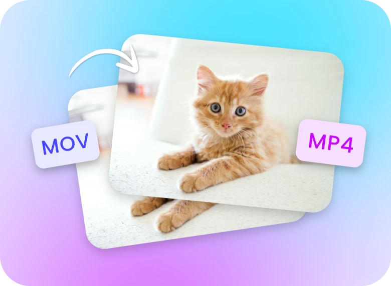 convert an mov video of a cat to mp4