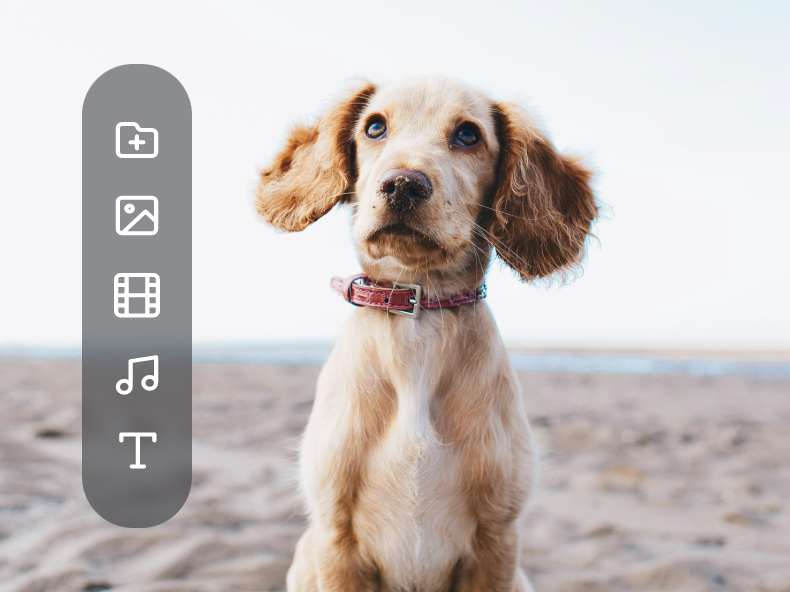 use clipfly video editor to edit an mp4 video of a dog sitting on a beach