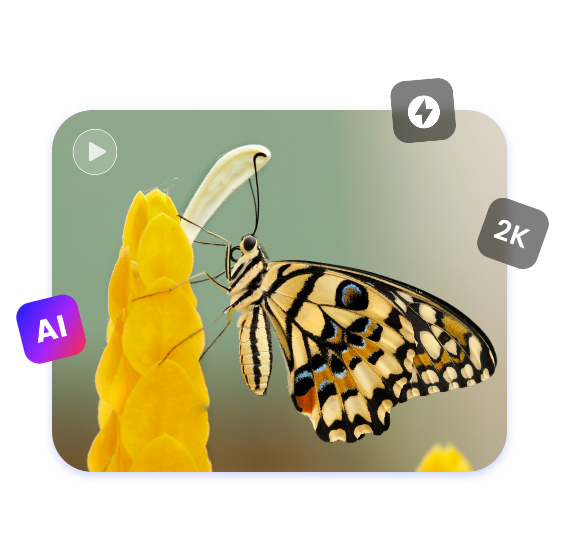 easy and fast to create a high quality video featuring a butterfly with Clipfly AI video creator