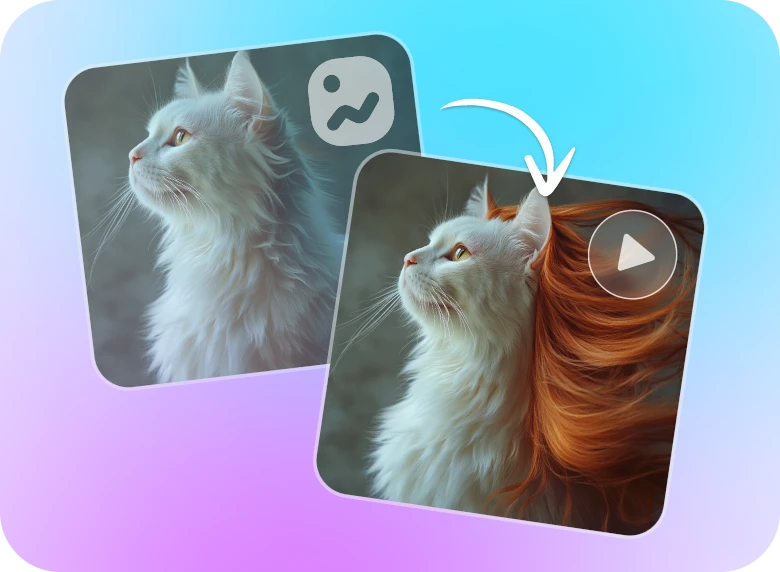 apply ai long hair filter to generate human hair for the cat