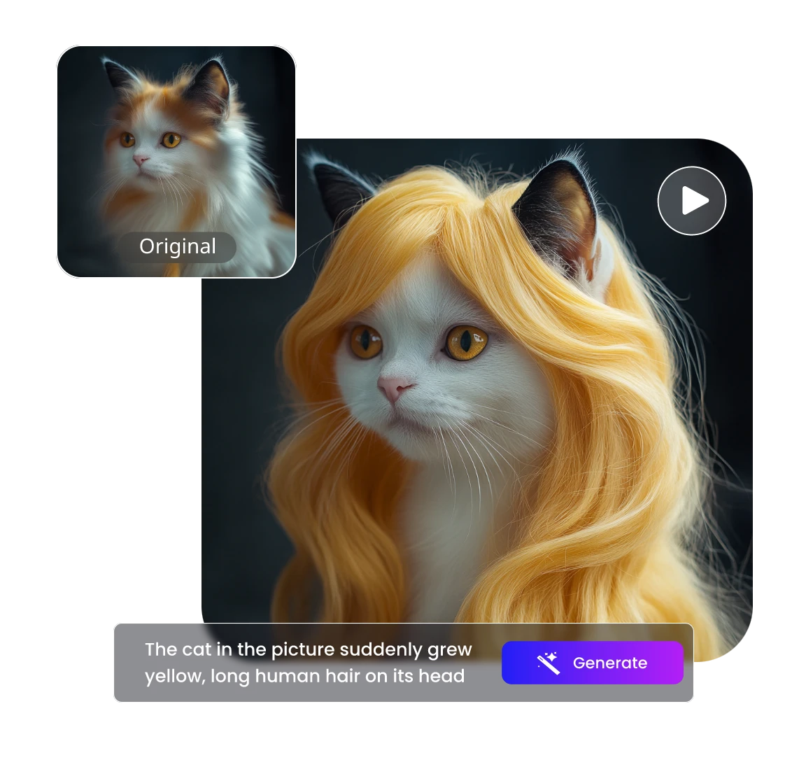 genarate human blonde long hair for a white cat with clipfly ai hair filter