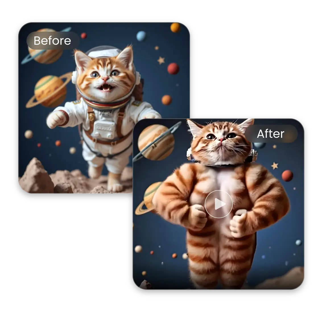 generate a muscle growth video of an astronaut cat with ai