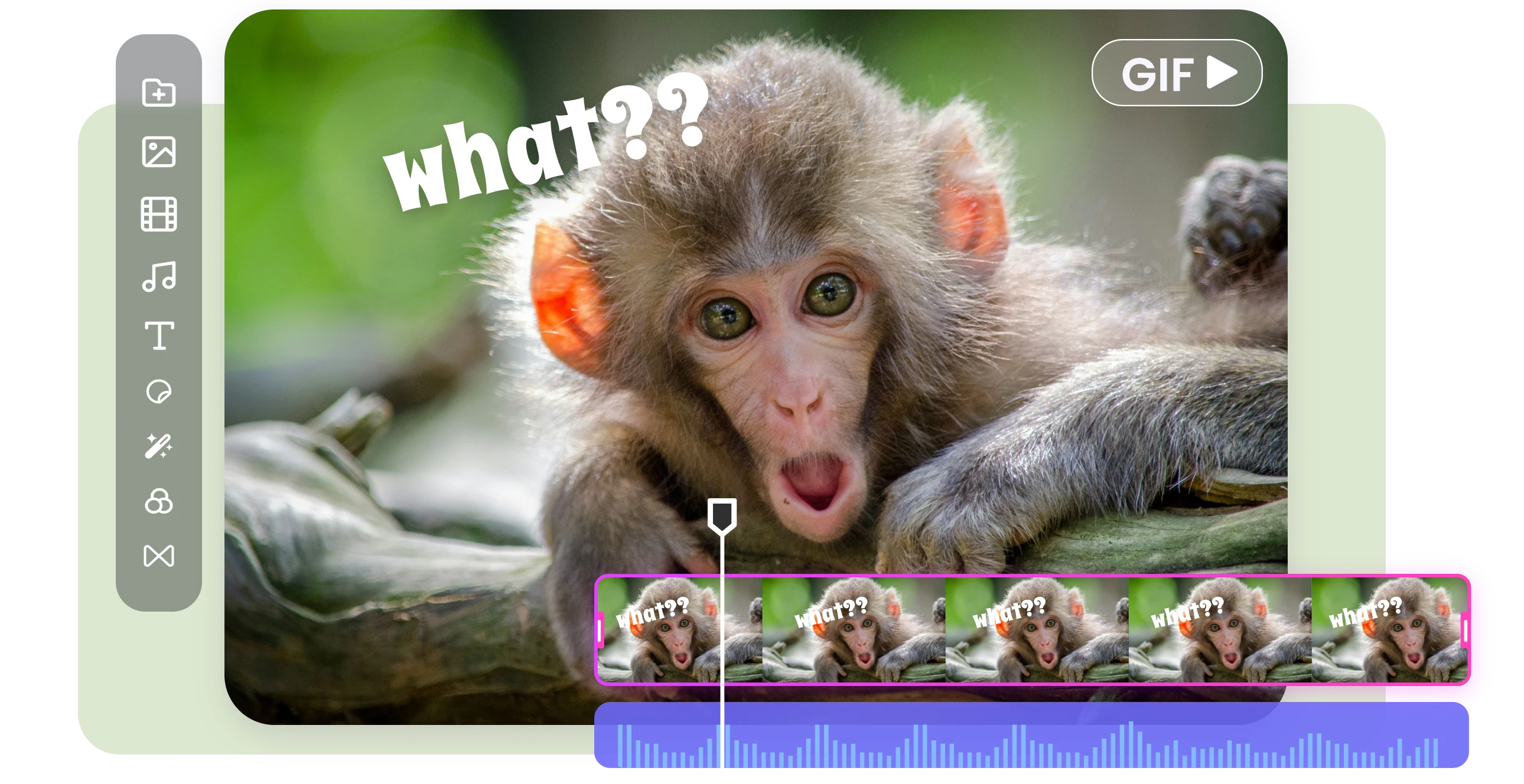 Add text to a video of a monkey with its mouth open in surprise to make it into a gif meme with clipfly