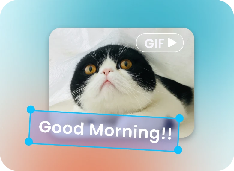 Add meme text "Good Morning!!" to the cat gif