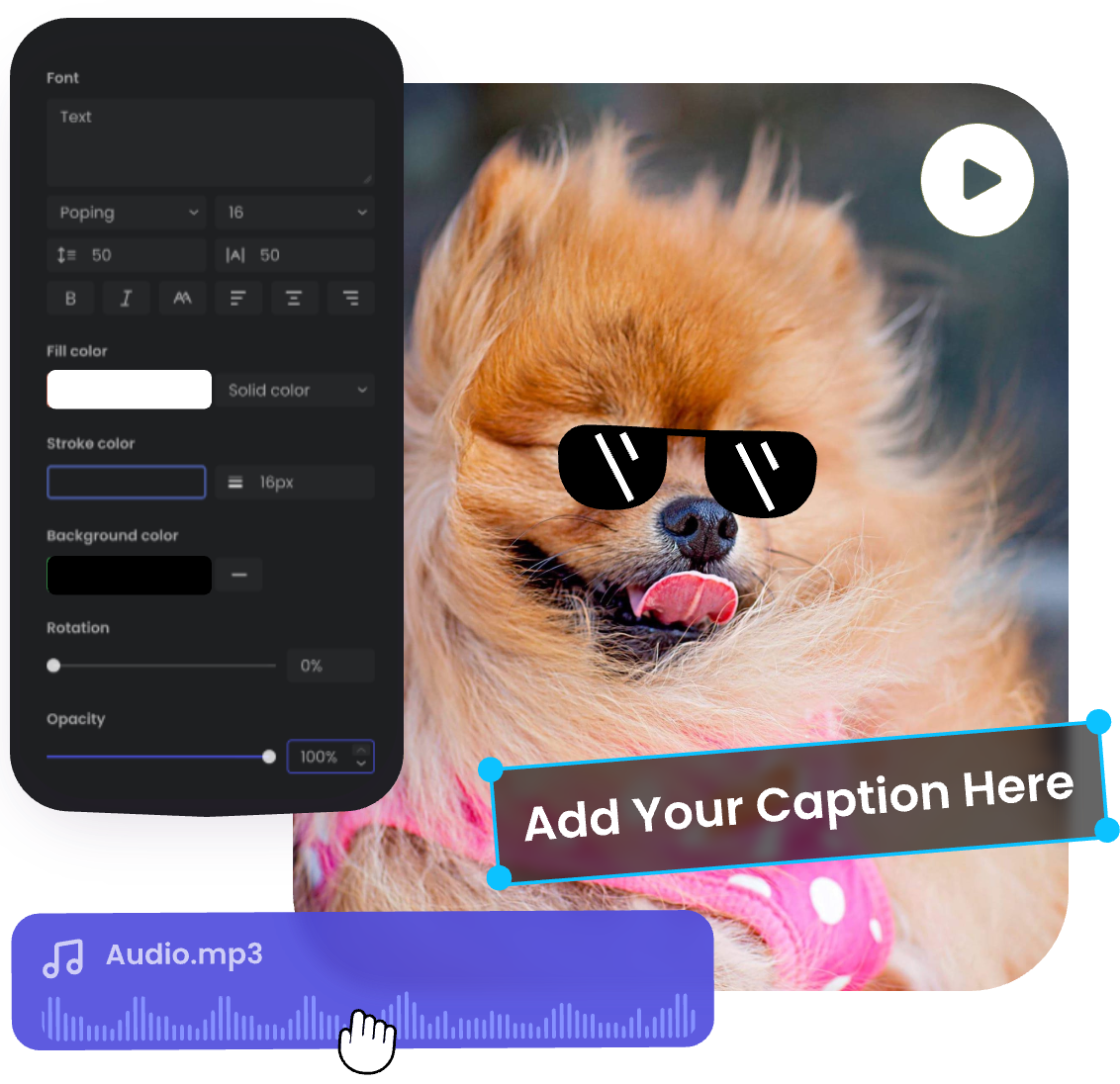customize a meme video of a cute dog with caption and audio in Clipfly's meme video maker
