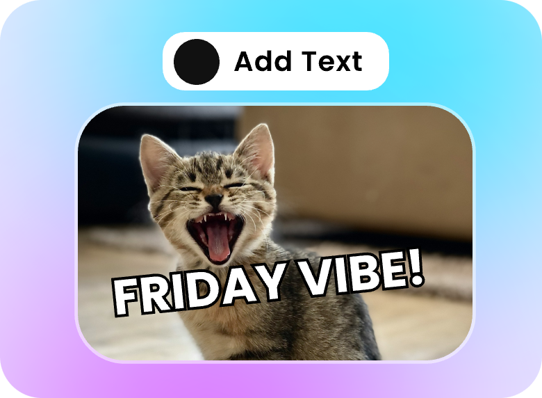add funny text friday vibe to enhance a cat meme video